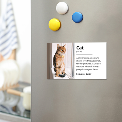 Picture of Cat Definition Magnet