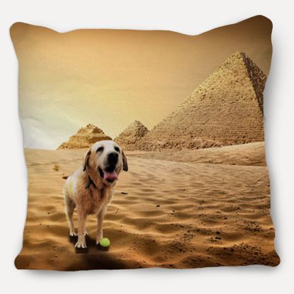 Picture of Adventure Pets Pillow - Ancient Egypt