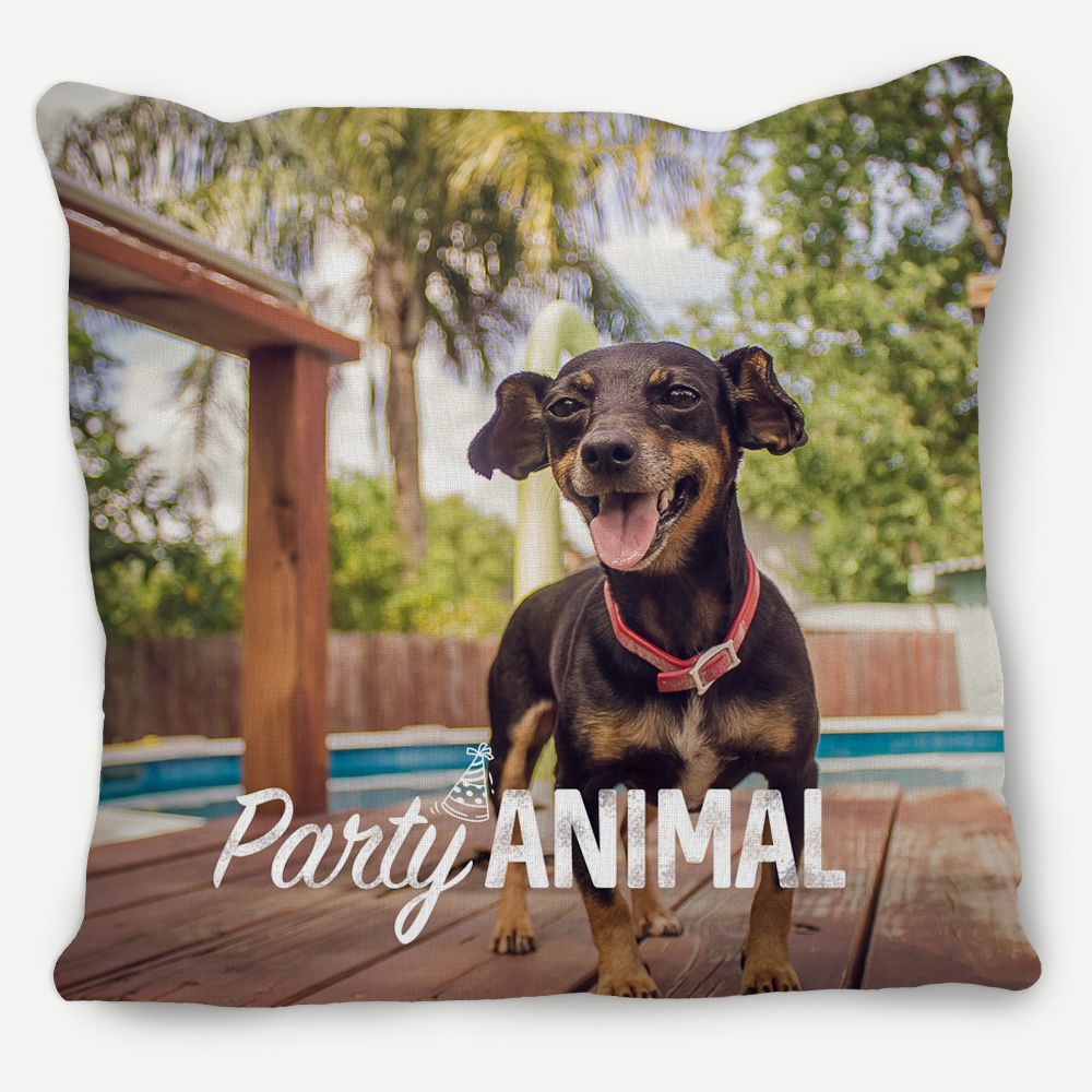 Picture of Party Animal Pillow