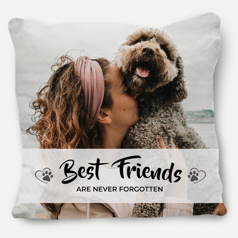 Best Friends Pillow