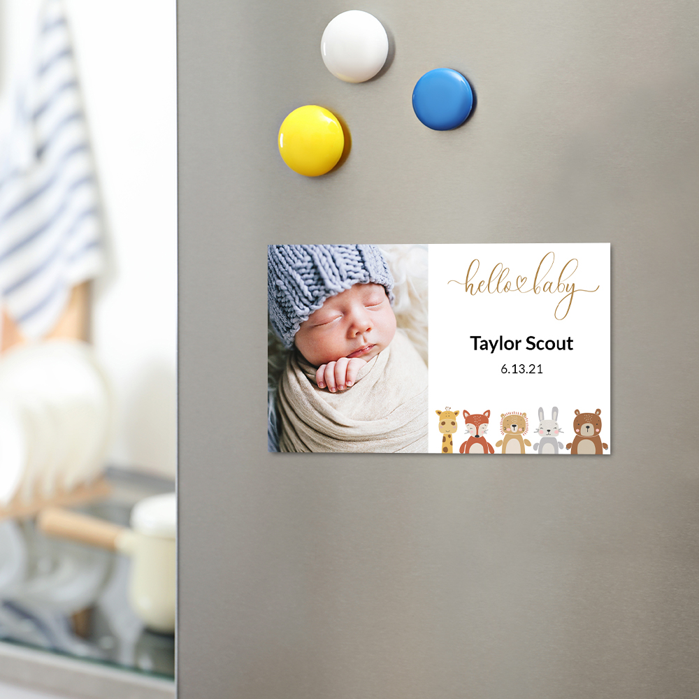 Picture of Baby Animals Birth Announcement Magnet