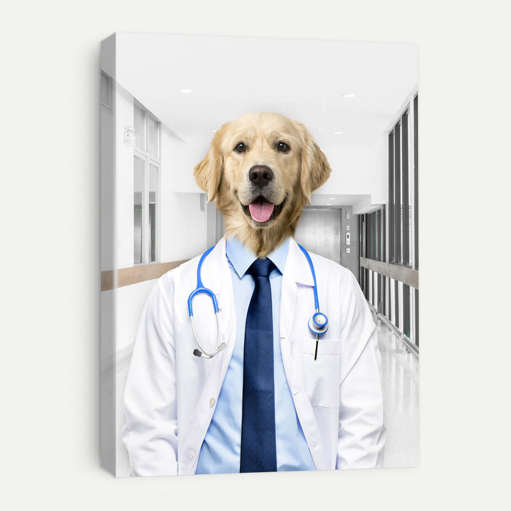 Picture of Doctor Pet