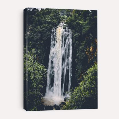 Picture of Waterfall - Anonymous Donee