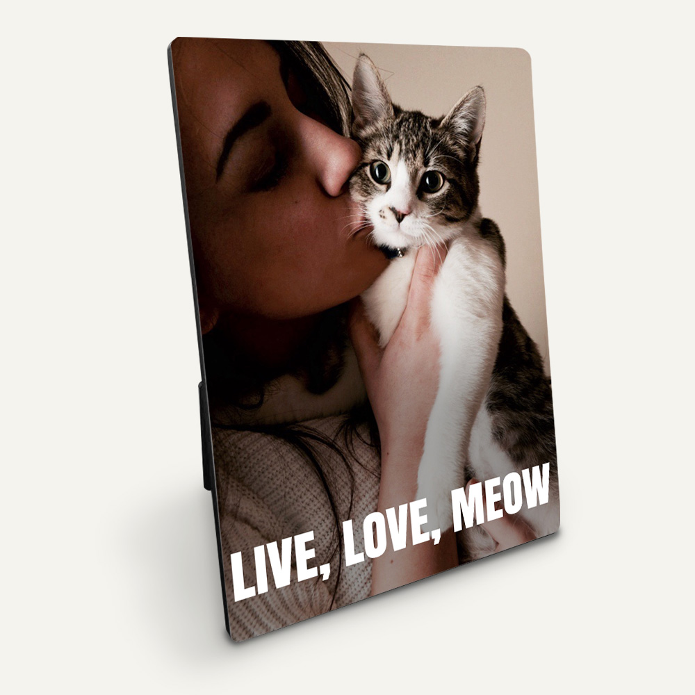 Picture of Live, Love, Meow Plaque