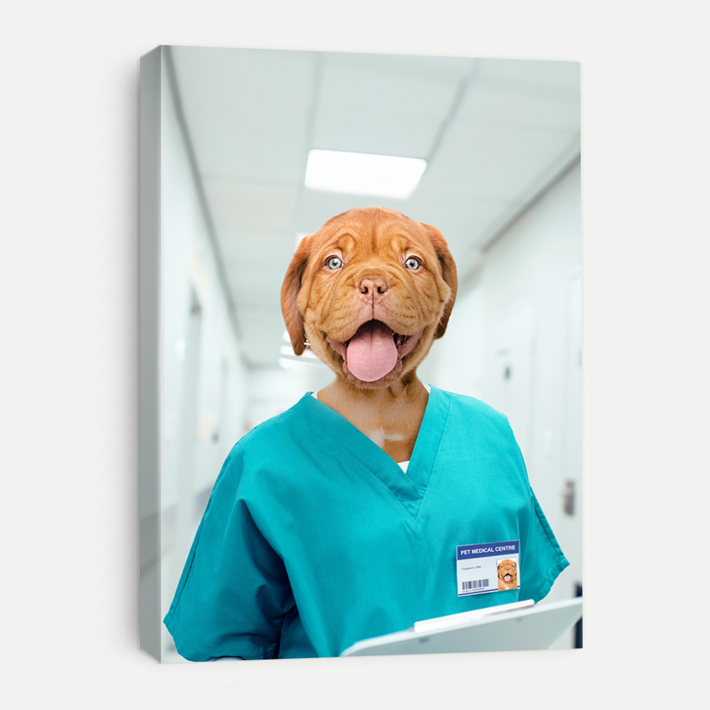 Picture of Nurse Pet