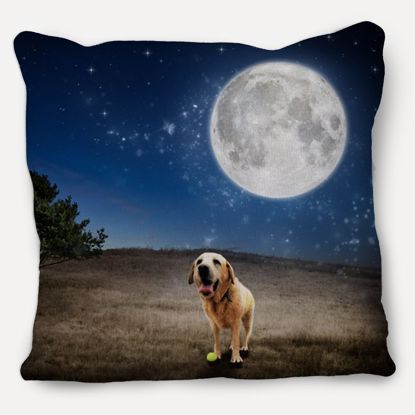 Picture of Adventure Pets Pillow - Full Moon