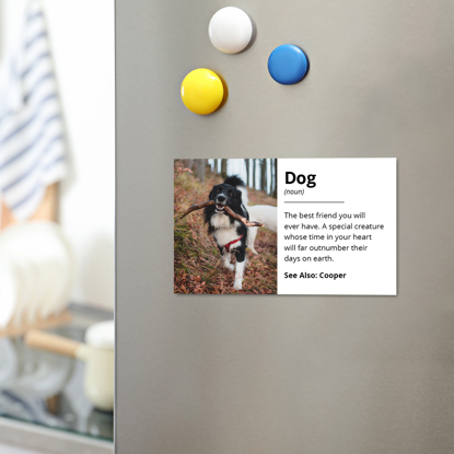 Picture of Dog Definition Magnet